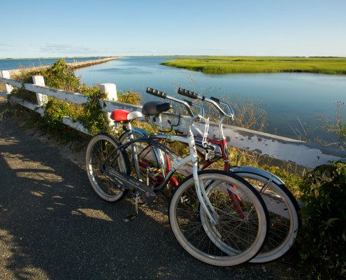 Cape Cod Rail Trail