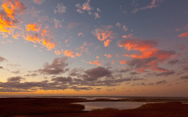 Brewster-09 (1)