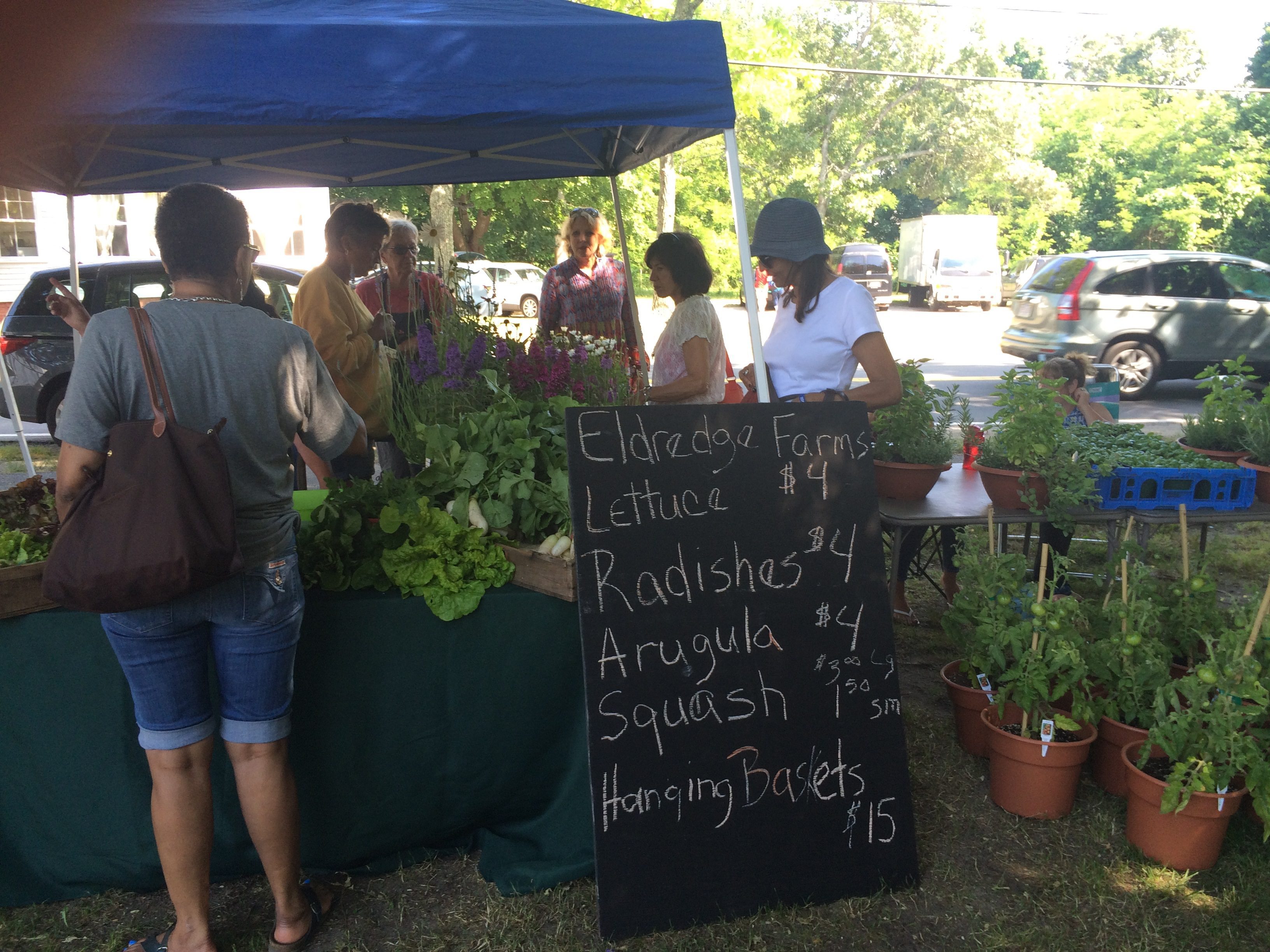Falmouth Farmers Markets