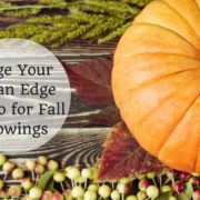 Stage Your Ocean Edge Condo for Fall Showings Stage Your Ocean Edge Condo for Fall Showings