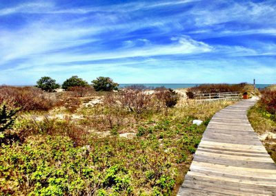 Ocean Edge Brewster